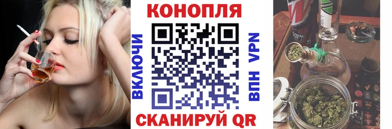 Бошки Шишки VHQ  Анжеро-Судженск 